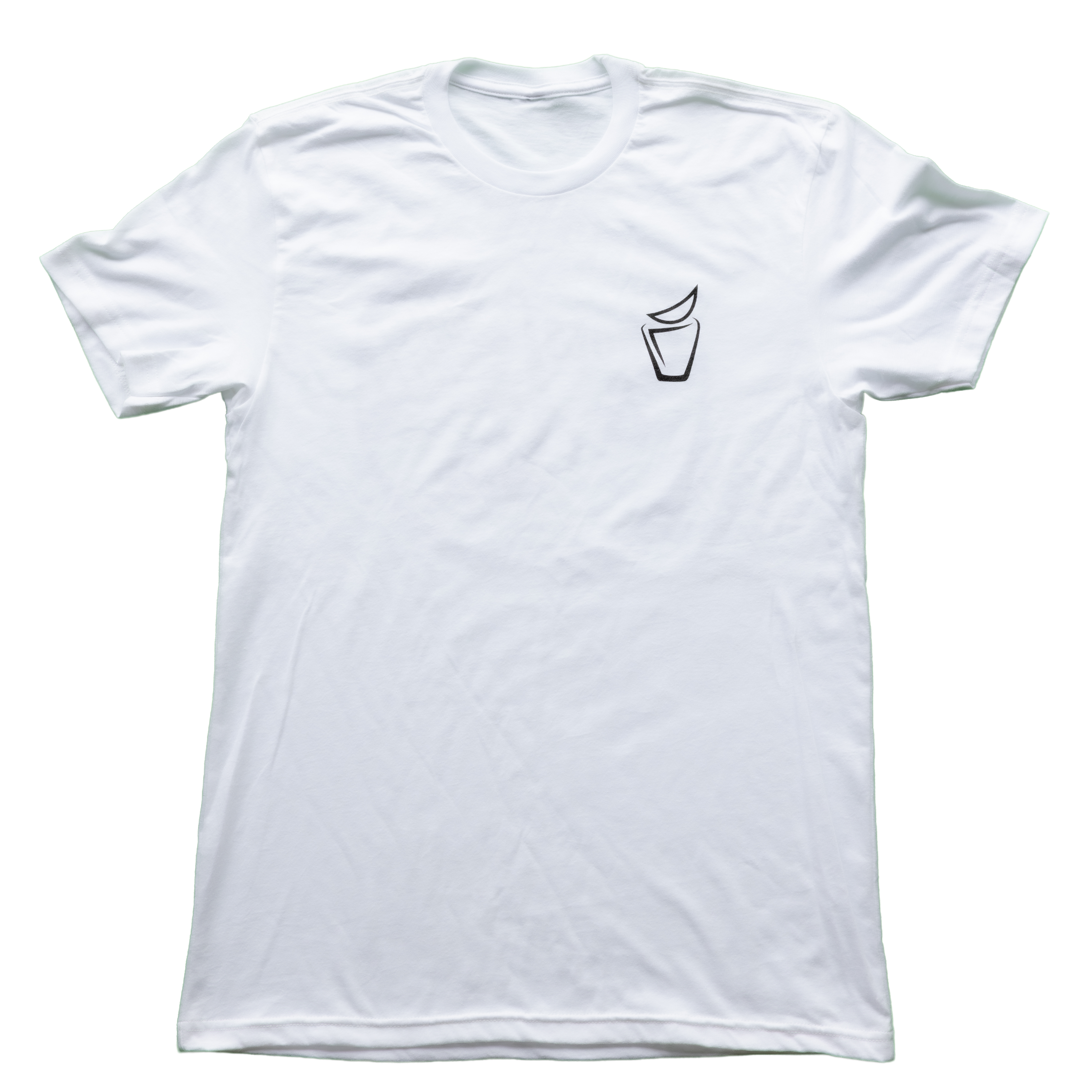 "Bridging The Gap" T Shirt (1st edition)